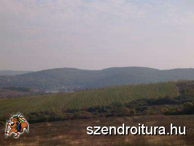 tehetseg-gondozo-02.jpg