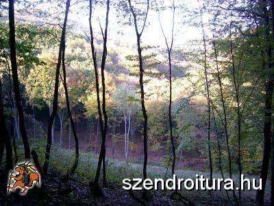 tehetseg-gondozo-04.jpg