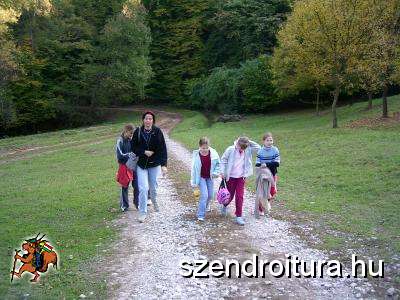 tehetseg-gondozo-05.jpg