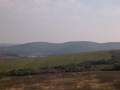 tehetseg-gondozo-02