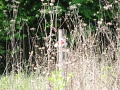 2-vitezlo-tura-valogatas-36