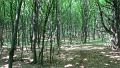 2-vitezlo-tura-valogatas-136