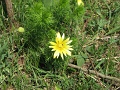 2-vitezlo-tura-valogatas-139