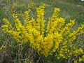 2-vitezlo-tura-valogatas-145
