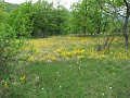 2-vitezlo-tura-valogatas-149