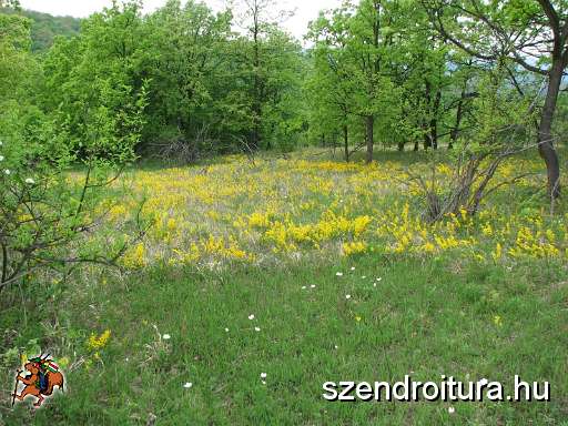 2-vitezlo-tura-valogatas-283.jpg