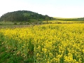 2-vitezlo-tura-valogatas-278
