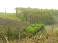 2-vitezlo-tura-valogatas-281