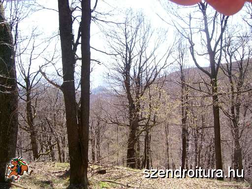 nagymilic-09.jpg