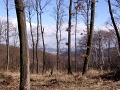barcika-tt-011