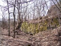 PIC_0041