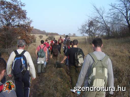 nyiregyhaziak-kirandulasa-02.jpg