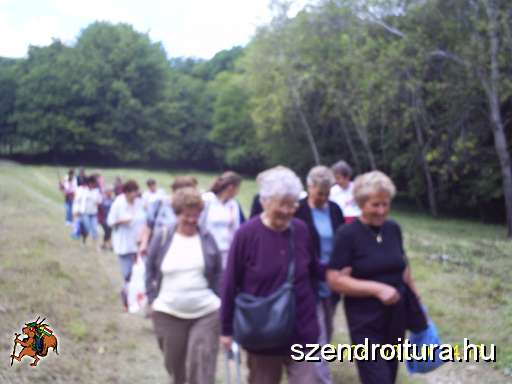szenior-program-013.JPG