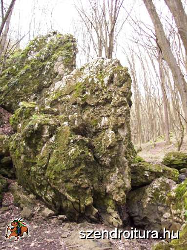 III-vitezlo-szendro-052.jpg