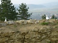 III-vitezlo-szendro-097