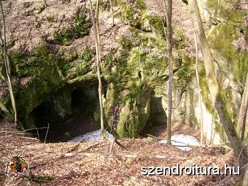 nepek-tavasza-07.JPG