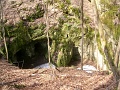 nepek-tavasza-07