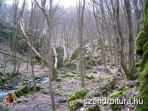 IV-vitezlore-keszulunk-02.JPG