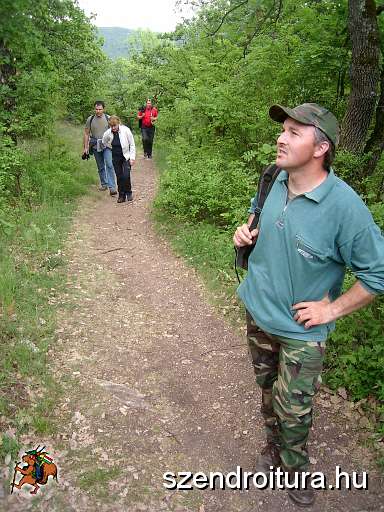 090509-derenk-fele.JPG