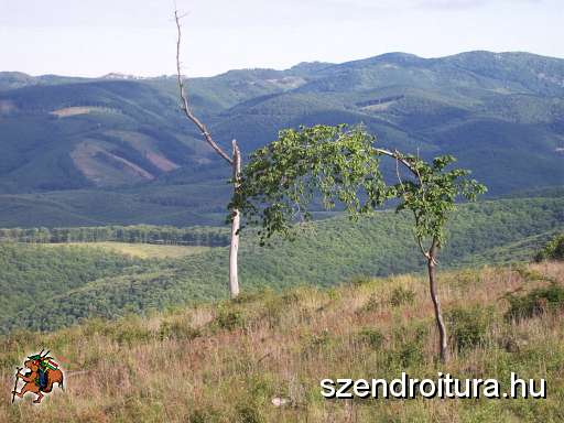 egri-bukk-04.JPG
