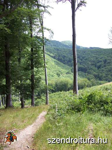 egri-bukk-08.JPG