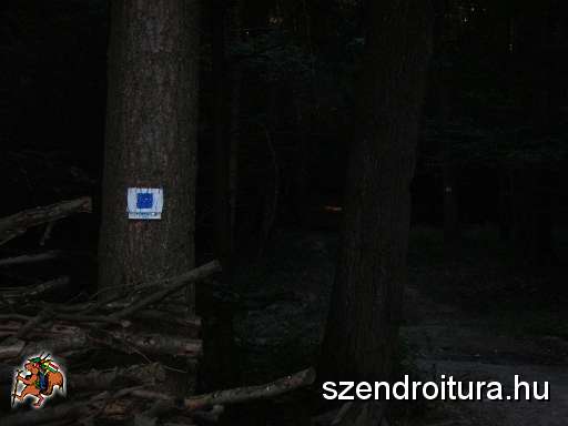 DSCN8498.JPG