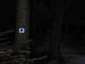 DSCN8498