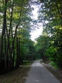 DSCN8514