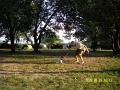best-of-szigetkoz-02
