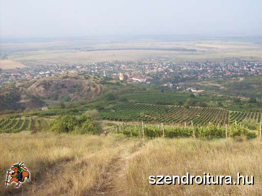 tokaji-bortura-06.JPG