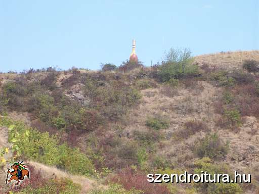 tokaji-bortura-08.JPG