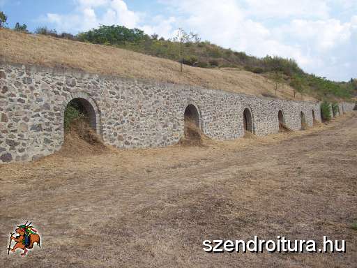 tokaji-bortura-09.JPG