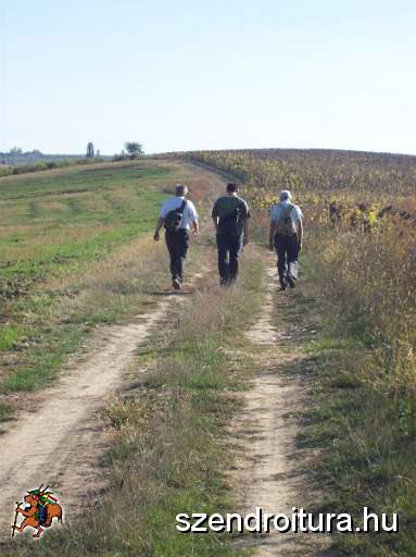20090926-Kilato-fele.JPG