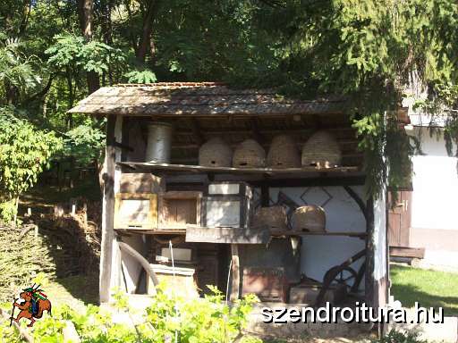 20090926-Szanticskan-lattuk.JPG