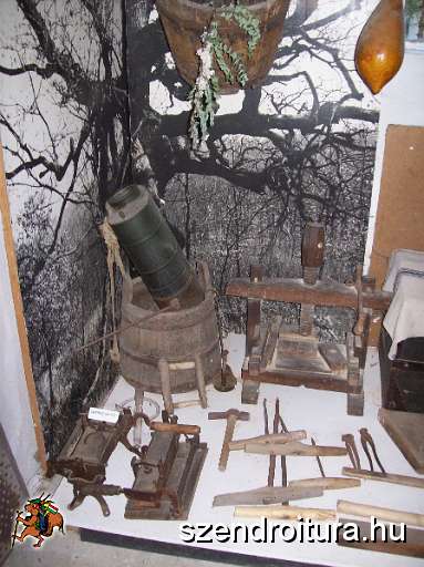 20090927-Gomorszolos.JPG