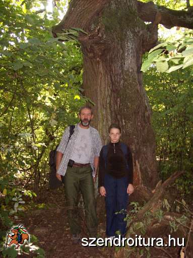 20090927-Tunderek-faja.JPG