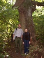 20090927-Tunderek-faja