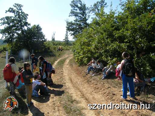V-szendro-korul-gyalogszerrel-014.JPG