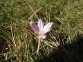 V-szendro-korul-gyalogszerrel-012
