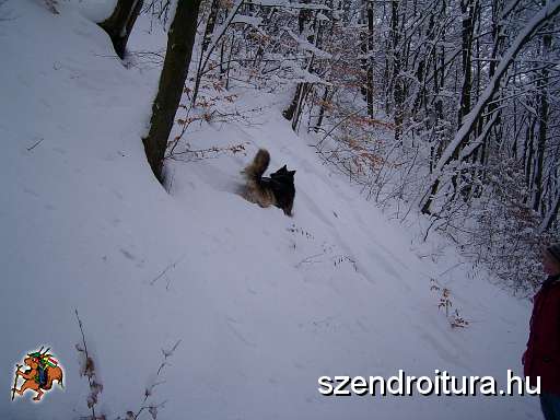 20100201-Teli-tajolas-tt-03.JPG