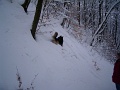 20100201-Teli-tajolas-tt-03