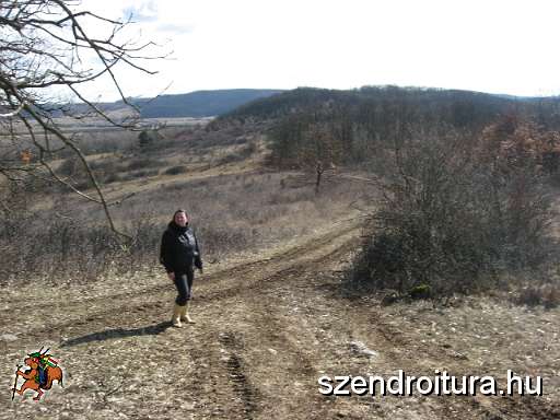 20100314-Elokeszulet-Varmento-Napok-06.JPG