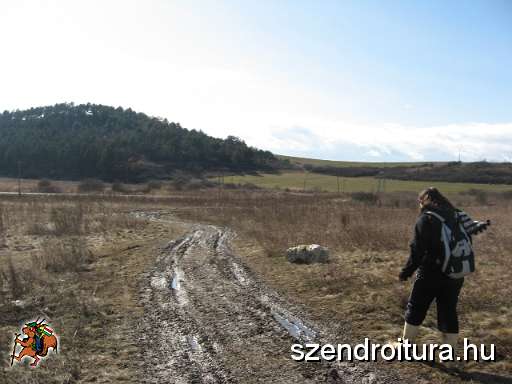 20100314-Elokeszulet-Varmento-Napok-07.JPG