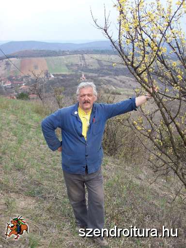 20100409-Z+festese-varboc-perkupa-05.JPG