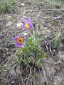 20100409-Z+festese-varboc-perkupa-03