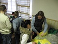 20100411-vitezlo-elokeszuletek-05