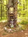 20100508-bukk-25-tt-02
