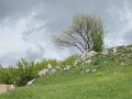 20100508-bukk-25-tt-04