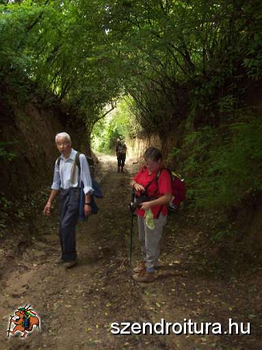 20100912-Tokaj-35-tt-02.JPG