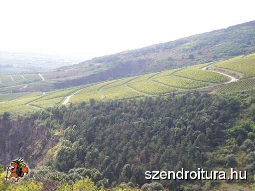20100912-Tokaj-35-tt-04.JPG